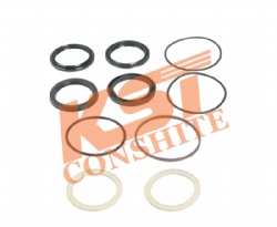 REPAIR KIT, POWER CYLINDER