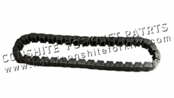 Hydraulic pump chain