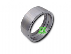 Internal gear ring