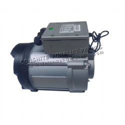 Drive motor