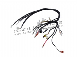 Main wiring harness