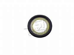 Oil seal