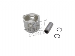 PISTON and PIN and SNAP RING